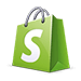 shopify Ecommerce web development
